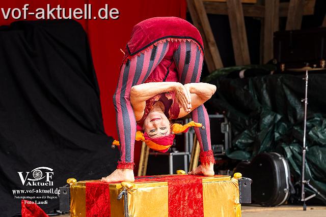 Fotto Laudi_Ritterspiele_26-17.jpg